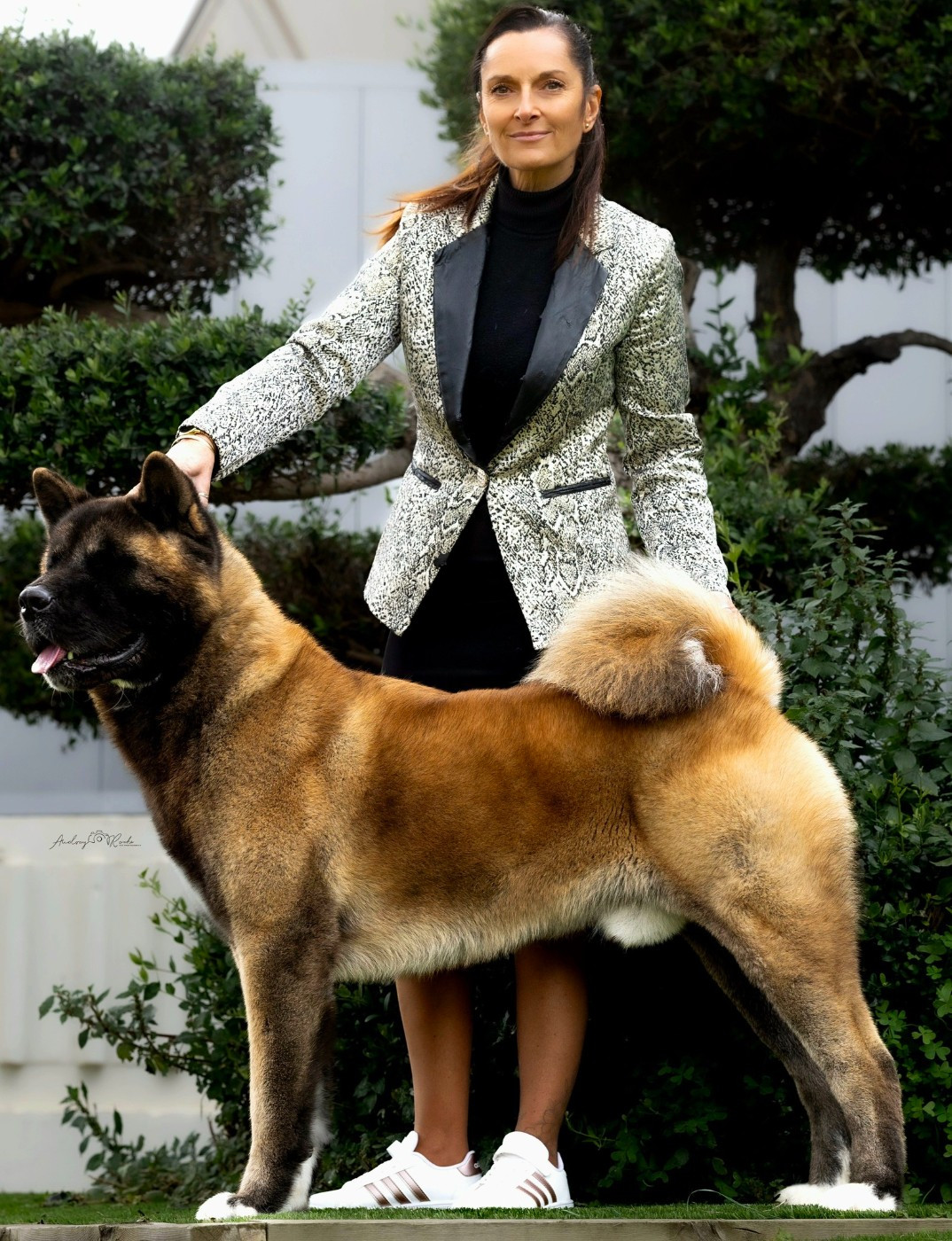 Double BOB Perpignan 2026