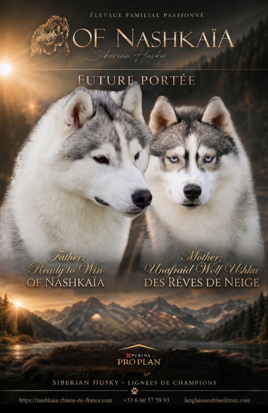 Future portée